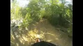 sxf 350 Bush riding Coromandel New Zealand - Neavesville