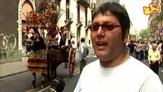 interviste agli organizzatori della sfilata dei carretti siciliani