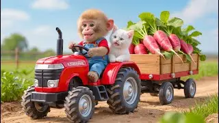 🎯 🐒🚜🥕 Monkey NaNa Drives Tractor to Save a Cat and Discover the Secret of the White Radish! 😺💨