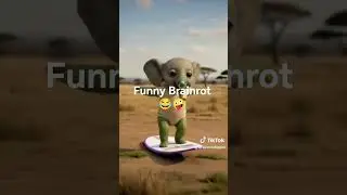 HAHA funny brainrot #brainrot #funny #funnybrainrot #italianbrainrot