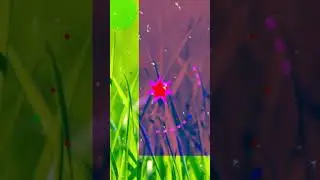 Мotion shapes 3