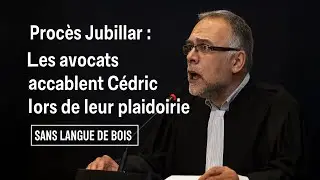 JUBILLAR TRIAL: CEDRIC OVERWHELMED BY THE PLEA OF THE CIVIL PARTIES' LAWYERS #350 [SLDB]