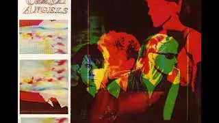 The Comsat Angels-Island Heart (Live 4-25-1984)