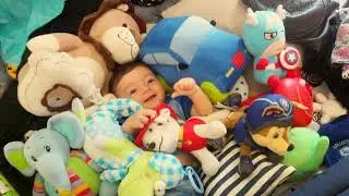 &iexcl;Feliz 1&ordm; a&ntilde;ito Leoncito! &hearts;