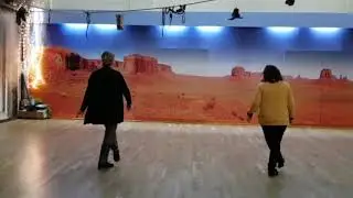 DASHBOARD choreographed by Silvia Schill, Line Dance & Teach (Dashboard Jesus by Carly Pearce)2/2021