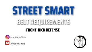Front Kick Defense Standing