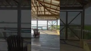 Favorite Unique Feature of the Boardwalk Trail at Oakland Nature Preserve #hiking #nature