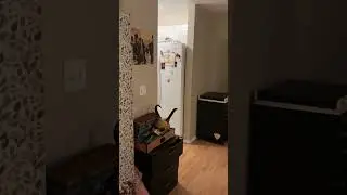 My Living Room Tour - 13 January 2026