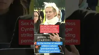 Sex and the City star Cynthia Nixon Sparks Fury over Gaza Support