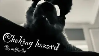 WVLF-FAC3D- Choking hazard