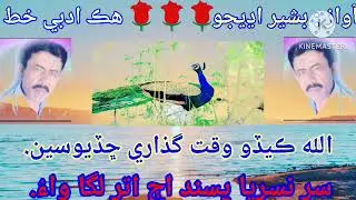 ھڪ ادبي خط بشير اڍيجو جي خوبصورت آواز.