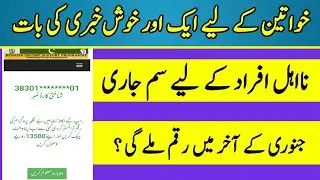 Bisp Program New Update | Check 13500 Bisp Program | Digital Wallet Payment not received