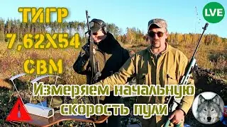 7,62х54 патроны НПЗ, тестируем на скорость с Филом.  (Test cartridges LVE 7,62х54R on the velocity)