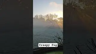 Creepy fog monsters appear as it rolls in! #fog #scary #monster #animal #shorts