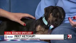 Forever Home Friday: Meet Ketchup