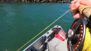 Catching Queen fish on fly || Gold Coast saltwater fly fishing