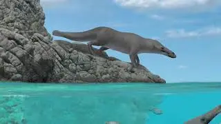 Four Legged Whale Video