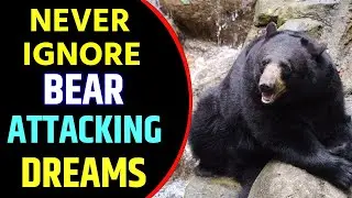 Bear Attack Dream Meaning | Bear Attack Dream Interpretation
