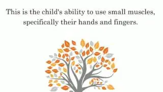 CS Kindergarten Developmental Milestones