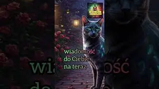 wiadomość do Ciebie na teraz
