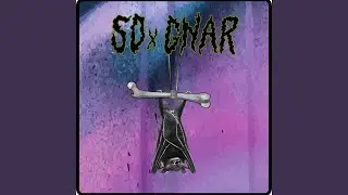 SOxGNAR