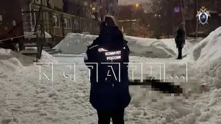 Новая жертва нечищеного снега с крыш &mdash; глыба убила 19‑летнюю девушку на улице Варварской