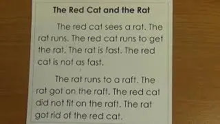 The Red Cat and the Rat