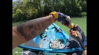 Popper attack #shimanocalcutta #shimano #bassfishing #kayakfishing #fishinglife #fishing #fish 