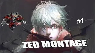 ZEDMAIN(spherow)