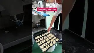 Intelligent dumpling machine, can make dumplings with a variety of fillings #dumplingmachine