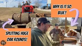 Huge Rounds Are Better On A Vertical!! Even If They Are Blue?? #firewood #woodsplitting 