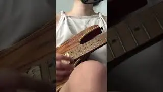 Stone &bull; Whiskey Myers (cover)