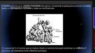 PARALELO DE HISTOLOG&Iacute;A-APARATO CARDIOVASCULAR. APARATO RESPIRATORIO.APARATO URINARIO