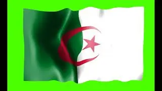 Algeria Flag 3 | Green screen 4K HD  Video | Animated YouTube | No Copyright | Royalty-Free