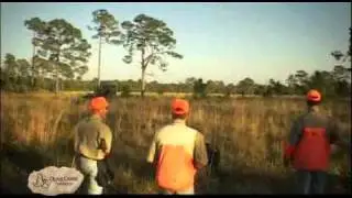 Welcome to Quail Creek Plantation