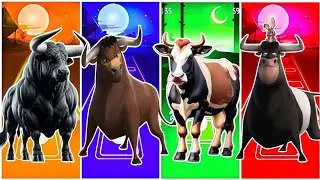 Funny  Bull 🐂🆚 Funny Valiente🐂🆚 Funny Cow🐄🆚 Funny Bull🐂🆚 Tiles Hop EDM Rush