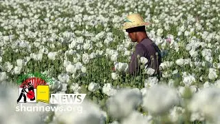 Мужчина ранил двух бабушек и дедушек в Нам Пхак Ка | SHAN News