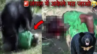 Alert🚨Wild Bear 🐻 Attack In Man | Jungle Safari | Wildlife Attack Tiger Safari | Forest Safari Vlog
