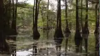 Southwest Georgia: Where history, culture and nature meet.