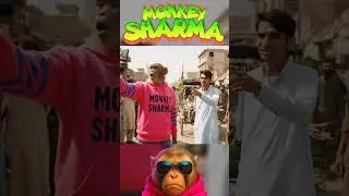 Monkey Serching Hotel In Pakistan Vlog #funny #minivlog #pakistan #monkeysharma #shorts