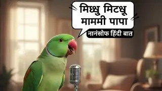 मिट्ठू मिट्ठू तोता बोल रहा है वीडियो // मम्मी पापा मिट्ठू बोल रहा है तोता वीडियो