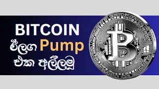 BTC BONK BNB FLUX HMSTR RUNE next pump