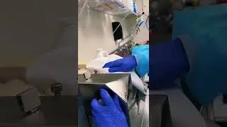 How to Clean the Ointment Mill