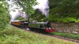Happy 120th Birthday L.H. & J.C. No. 29 'Peggy'