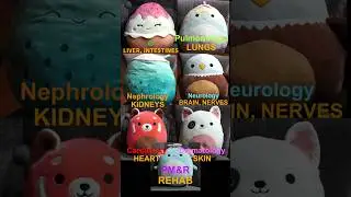 Kid version: I'm the most important specialty! ...with squishmallows