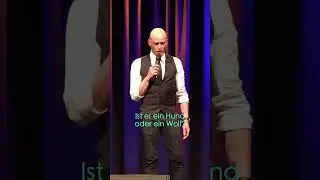 Wenn PetPlayer in 1. Reihe si&hellip;liegen #comedy #standupcomedy #hund #wolf #comedyreel #lustig #lachen