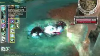 Guild Wars 600 Hp Monk UW HM farm 6.3.2010