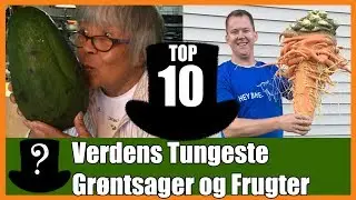 TOP 10 Verdens Tungeste Gr&oslash;ntsager og Frugter
