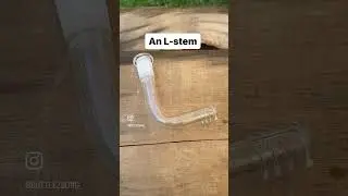 Here what comes with our Lstem starter kit