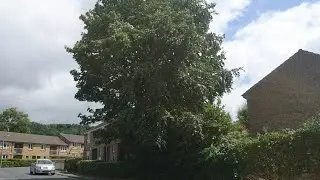 Storm Hector